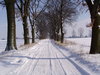 carretera de invierno