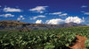 riego agrícola en las Drakens