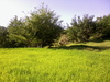 Parayan (campo de arroz)