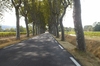 un camino solitario en francia