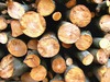 la madera 1