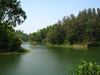 lago Foys