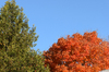 otoño