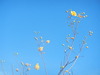 naturaleza