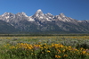 belleza de la montaña