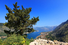 Fiordo kotor