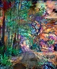 sendero mágico