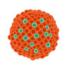 covid-19 bio-peligro