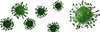 virus moco verde