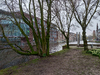 Ã¡rboles urbanos a principios de primavera