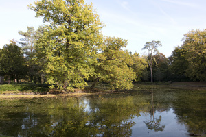 lago parkland en otoño