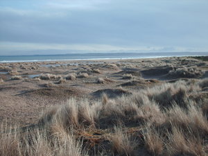 Playa del invierno