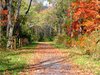 ruta de otoño