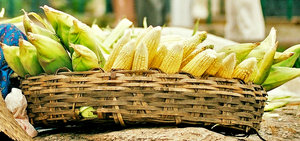 Canasta de maíz