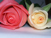 Rosas Aniversario