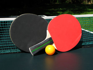 paleta de ping pong: 
