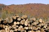 madera