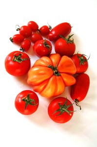 Diferentes tomates 1