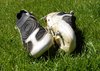 botas de fútbol