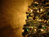 árbol de navidad de graham 15