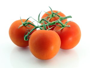 tomate, tomates