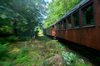 viejo tren