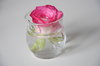 una rosa