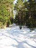 invierno