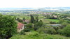 Escena rural