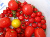 cubo de tomate (4)
