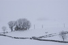 Nieve en Alto Campoo