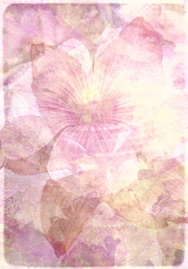 Textura Floral Collage 5: 