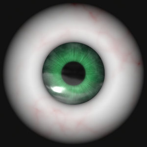 Eyeball 3