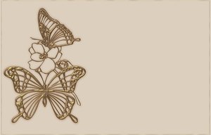 Bronce Butterfly Fronteras