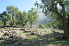 iran Izeh
