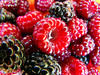 Frambuesa