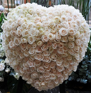 rosas blancas corazón: 