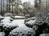 Nieve
