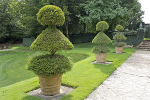 Jardín Topiary