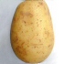 potato222