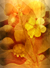 fondo floral