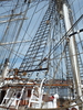 velero