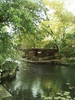 piscina Alfred Caldwell lilly