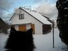 gato y su caza