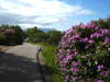 tarbert escocia