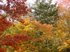 los colores del otoÃ±o