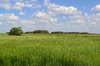 naturaleza