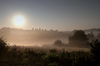 Salida del sol en la niebla