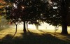 parque Lawton en la mañana